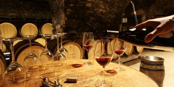 Dégustation de vin